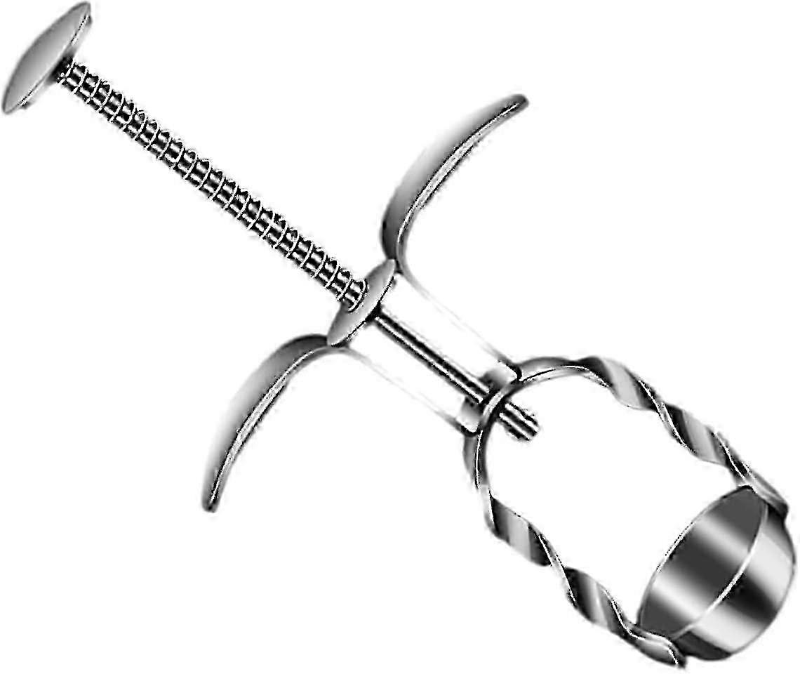Manual Cherry Pit Remover Tool for Household Use, Stainless Steel Jujube Stone Pitter