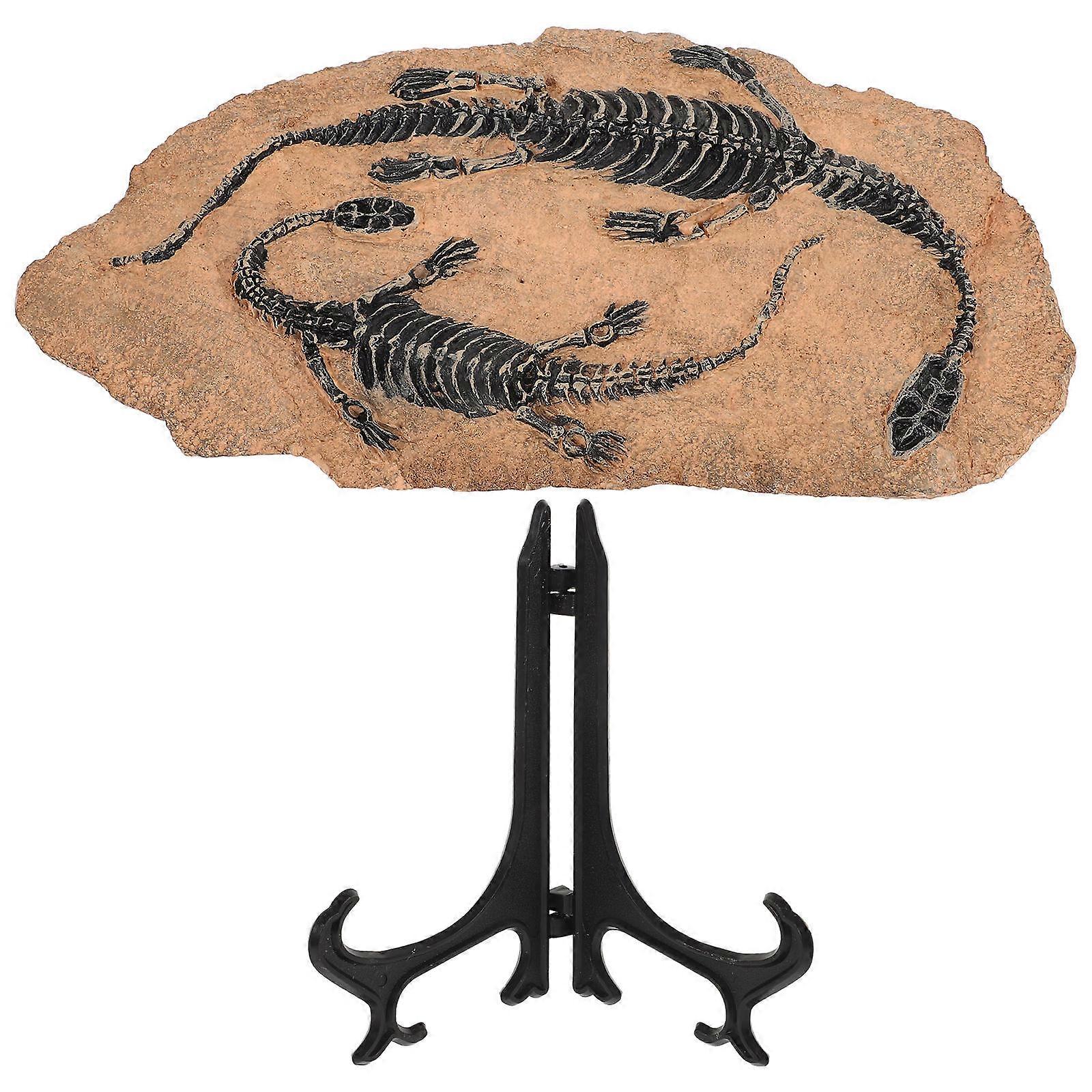 Realistic Dinosaur Fossil Model Ornament for Garden & Home Decoration – Educational Specimen for Party Gifts, Creative Play, and Spiral Pattern