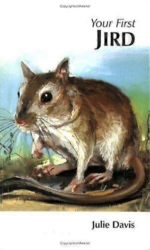 Your First Jird (Your First...series) by Davis, Julie