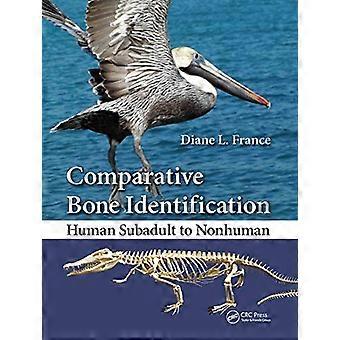 Comparative Bone Identification Human Subadult to Nonhuman