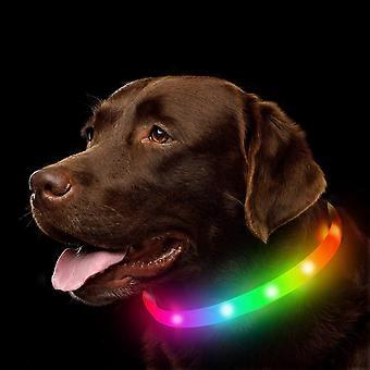 LED Dog Collar . Rechargeable RGB Color Changing Light Up Dog Collars. Waterproof Dog Lights Make Pet Visible and Safety for Night WalkingOutdoor. Cam