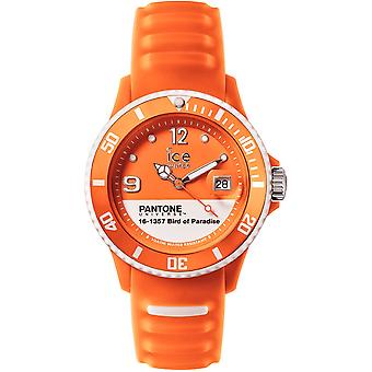 Pantone universe(tm) Watch for Unisex Analog Quartz with Silicone PAN bracelet. Bop. U.S.14