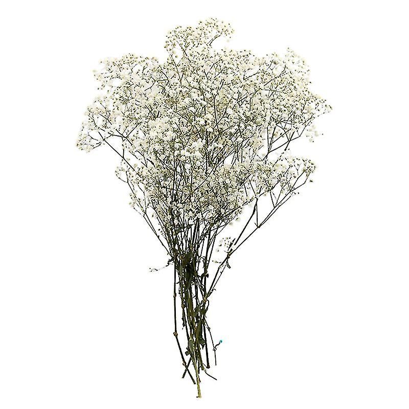 1pcs Preserved Flower Decor