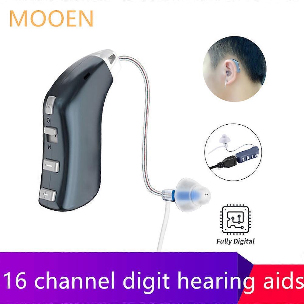 16 Channel Best Rechargeable Ear Hearing Aid Apparatus High Power Hearing Aids Ear Instrument Double Earphones Deafness Device
