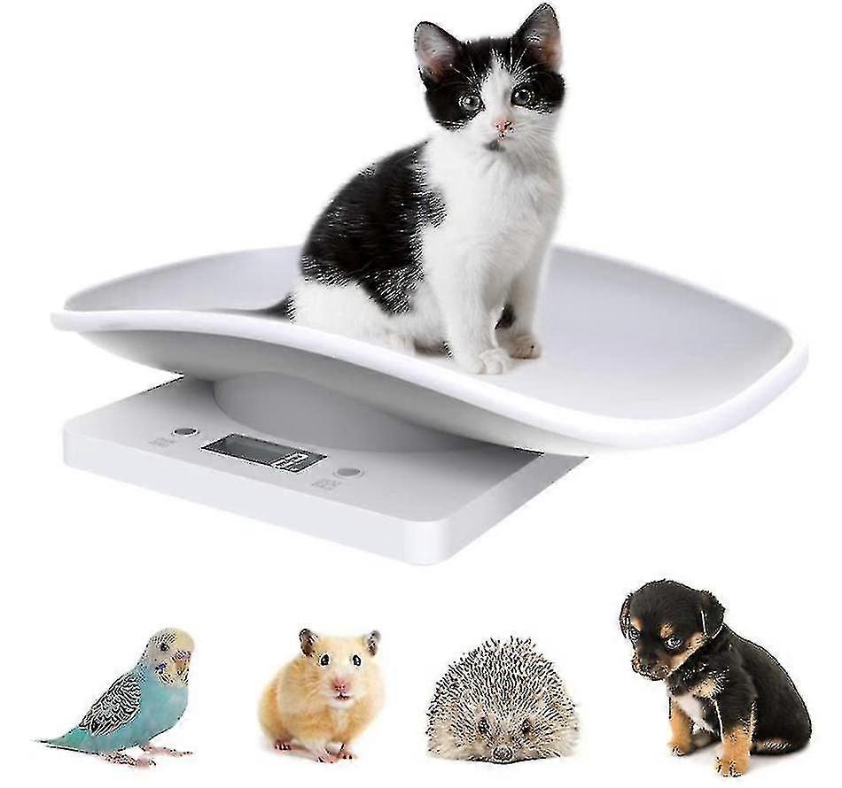 Digital Pet Scale, Electronic Weight Scale with LCD Display for Small Animals