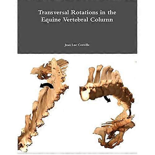 Transversal Rotations in the Equine Vertebral Column
