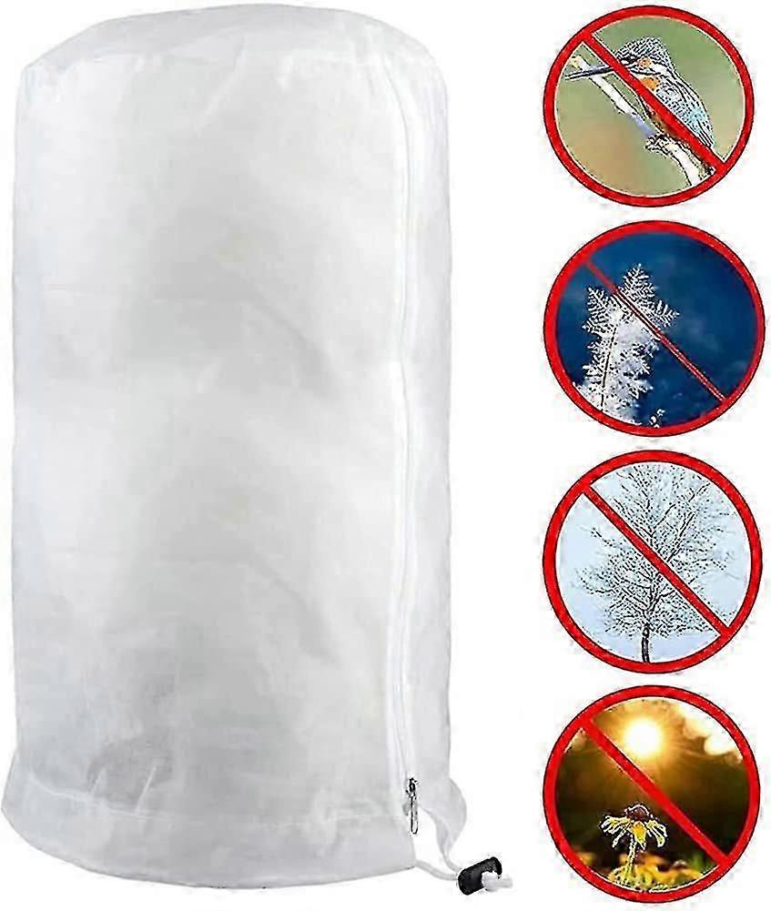 Vinterväxt frostskydd, stor (200x240cm)