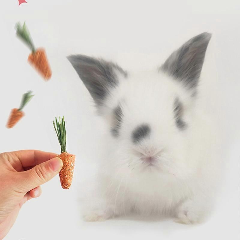 用草干草咀嚼兔子 Degu 天然笼子配件