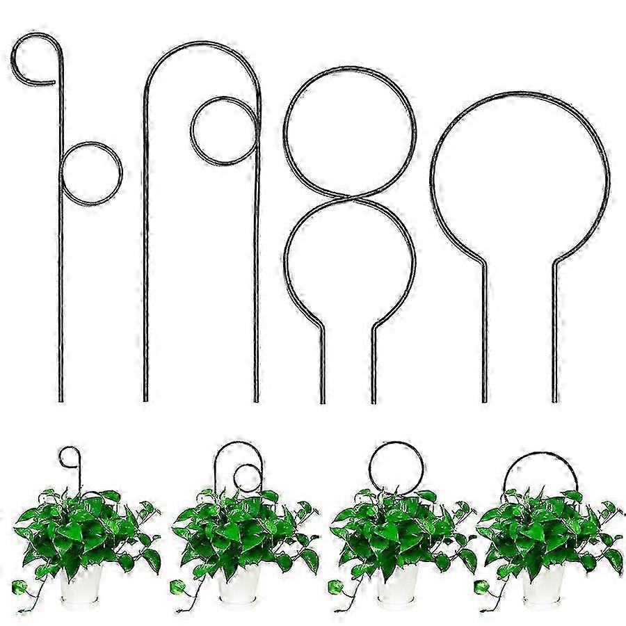 4-Piece Metal Support for Climbing and Trailing Plants 2025