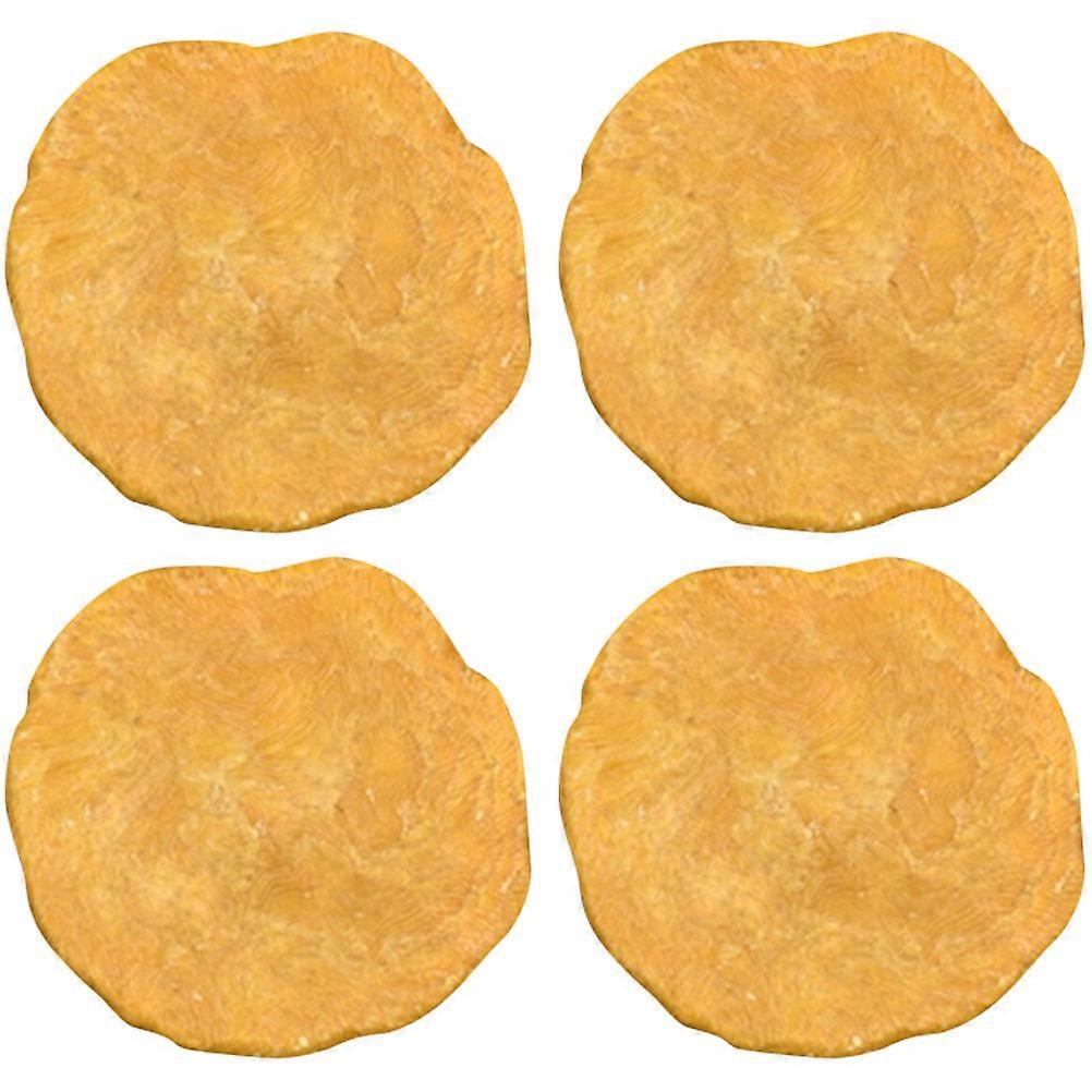 Orange Nummulites Sample for Student Teaching 12Pcs Pack