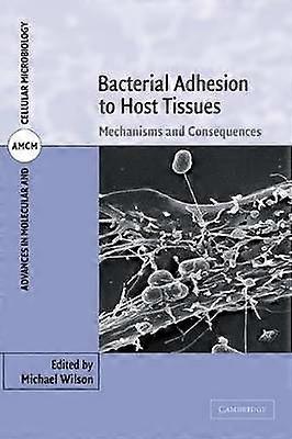 Bakterielle Adhäsion an Wirtsgewebe