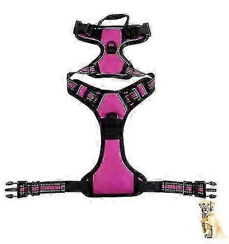 Padded Breathable No-Pull Dog Harness
