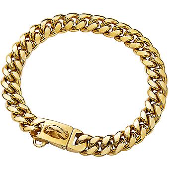 Gold Chi Collar with Secure Buckle Design, Chew Resistant, Heavy Duty Stainless Steel Drag Chain Leash Collar