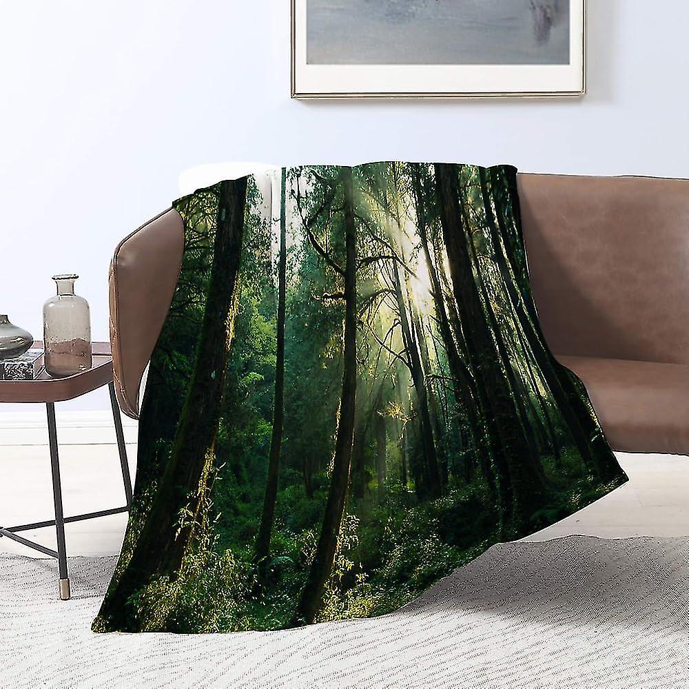 Flannel Blankets,sunset In Woods Sun Beaming Through Forest Trees Wilderness Scenery,throws For Sofa Fluffy Blanket Bed Throw F Bedroom,couch,bedroom