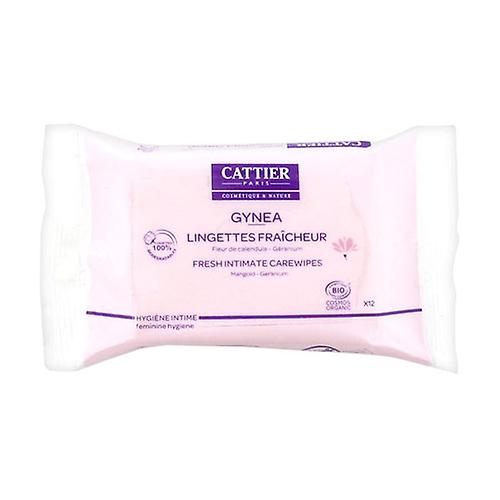 Gynea intimate wipes 25 units