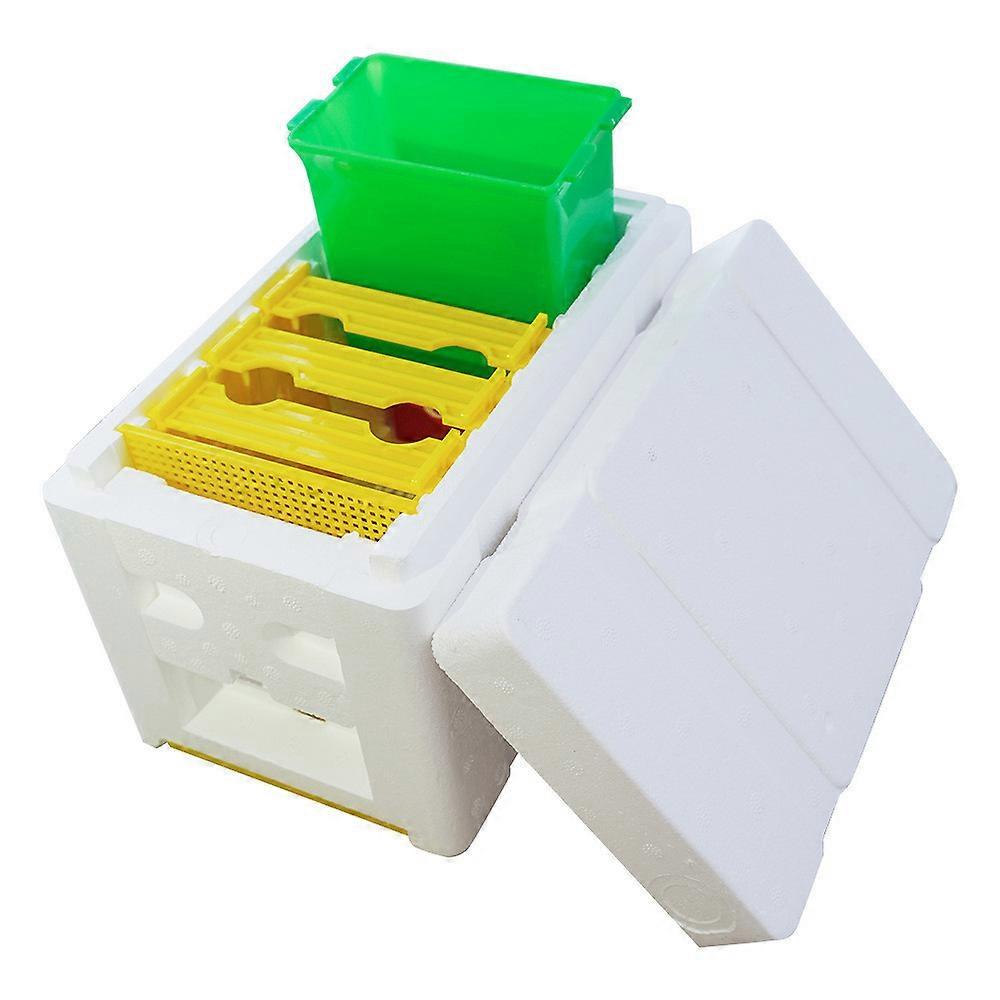 Bee queen breeding box mating hive bee queen mini mating box queen hive beekeeping beekeeping supplies