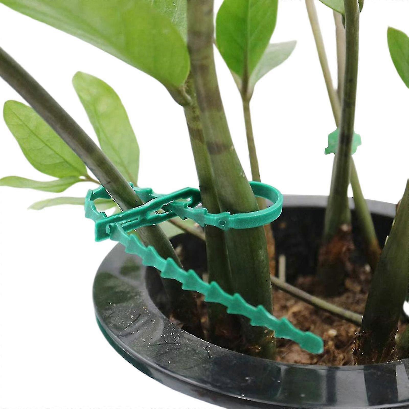 17cm Adjustable Reusable Plastic Plant Quick Ties For Plant Support 100 Pieces