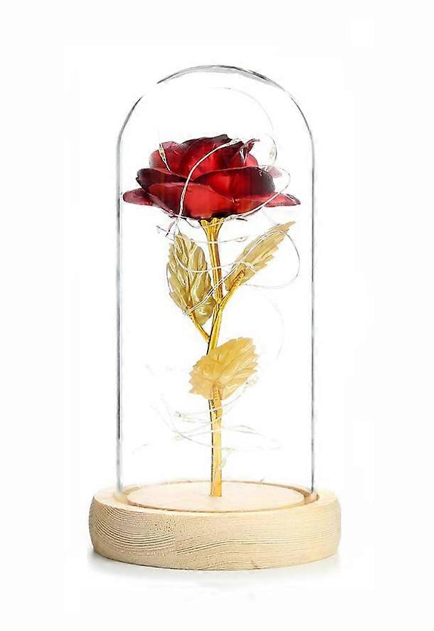 LED Fairy Lights with Glass Lampshade Artificial Rose in Glass