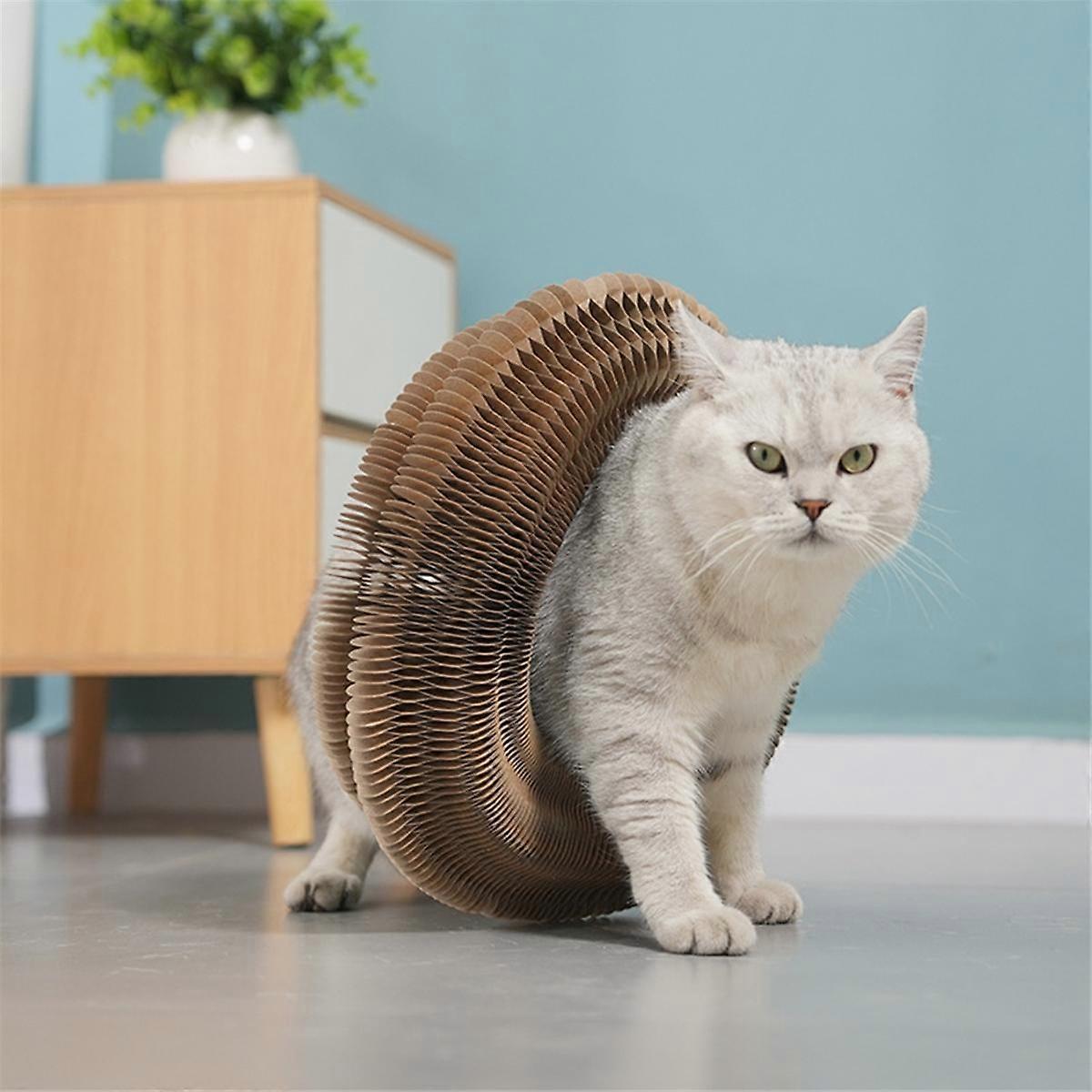 Cat Toy Cat Accordion Toy Accordion Cat Toy Magic Organ Cat Scratch Board Foldable Accordion Cat Toy