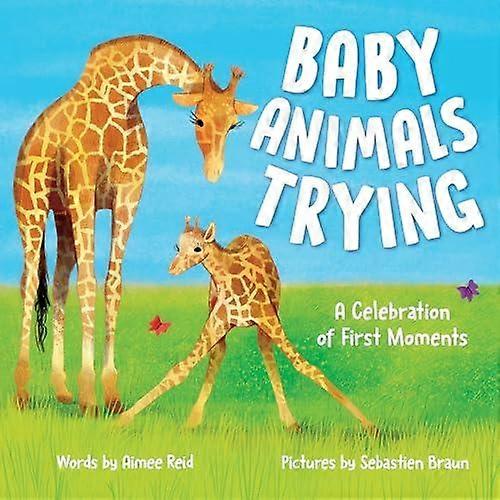 Baby Animals Trying by Aimee Reid Paperback Book