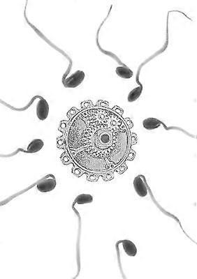 The Invention of Mother