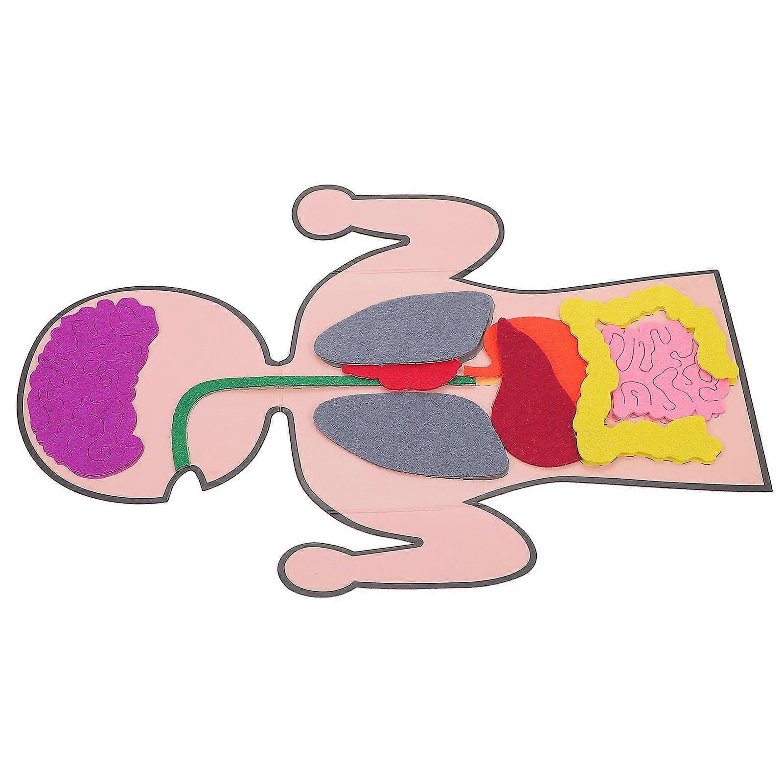 Creative Organs Plaything Early Education Toys Improve Patience Develop Practical Ability 3 Sets