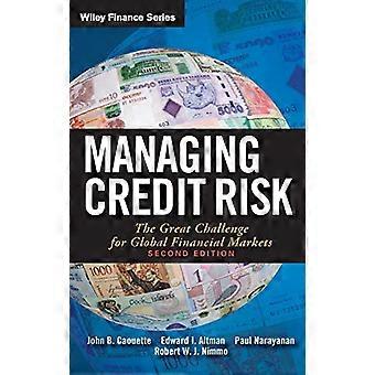 Gestire il rischio di credito: la grande sfida per i mercati finanziari globali (Wiley Finance)