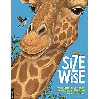Size Wise From Colossal Squids to Snowflakes a Life Sized Look at Nature