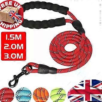 2-Handle Safety Lead for Training & Control UK
