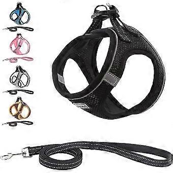 Pet Reflective Soft Mesh Dog Harness and Leash Set, No Pull Breathable Padded Step in Vest Harness Leash Set, Comfort Training Walking for Small Puppi