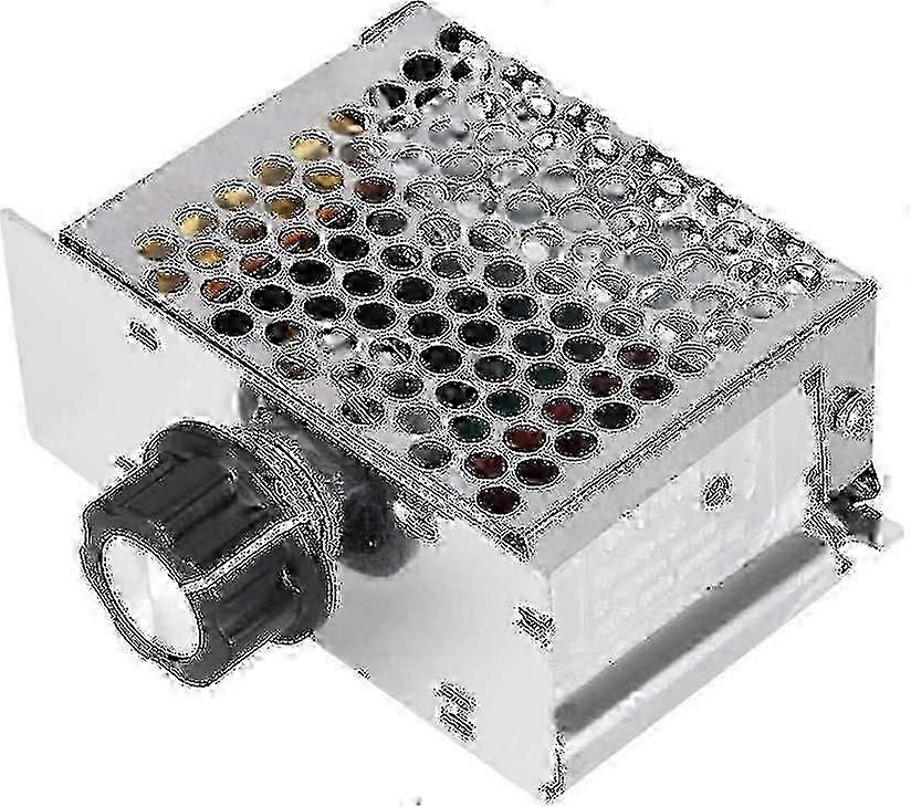 220V 4000W Adjustable Voltage Regulator