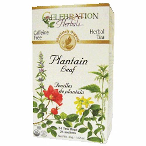 Celebration Herbals 有机车前草叶茶，24 袋 （1 包）