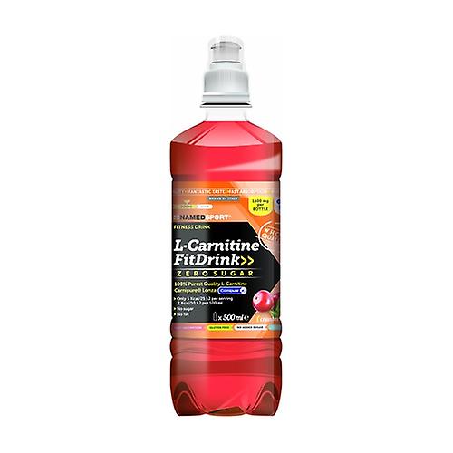 L-Carnitine fitdrink 500 ml (Blueberries)