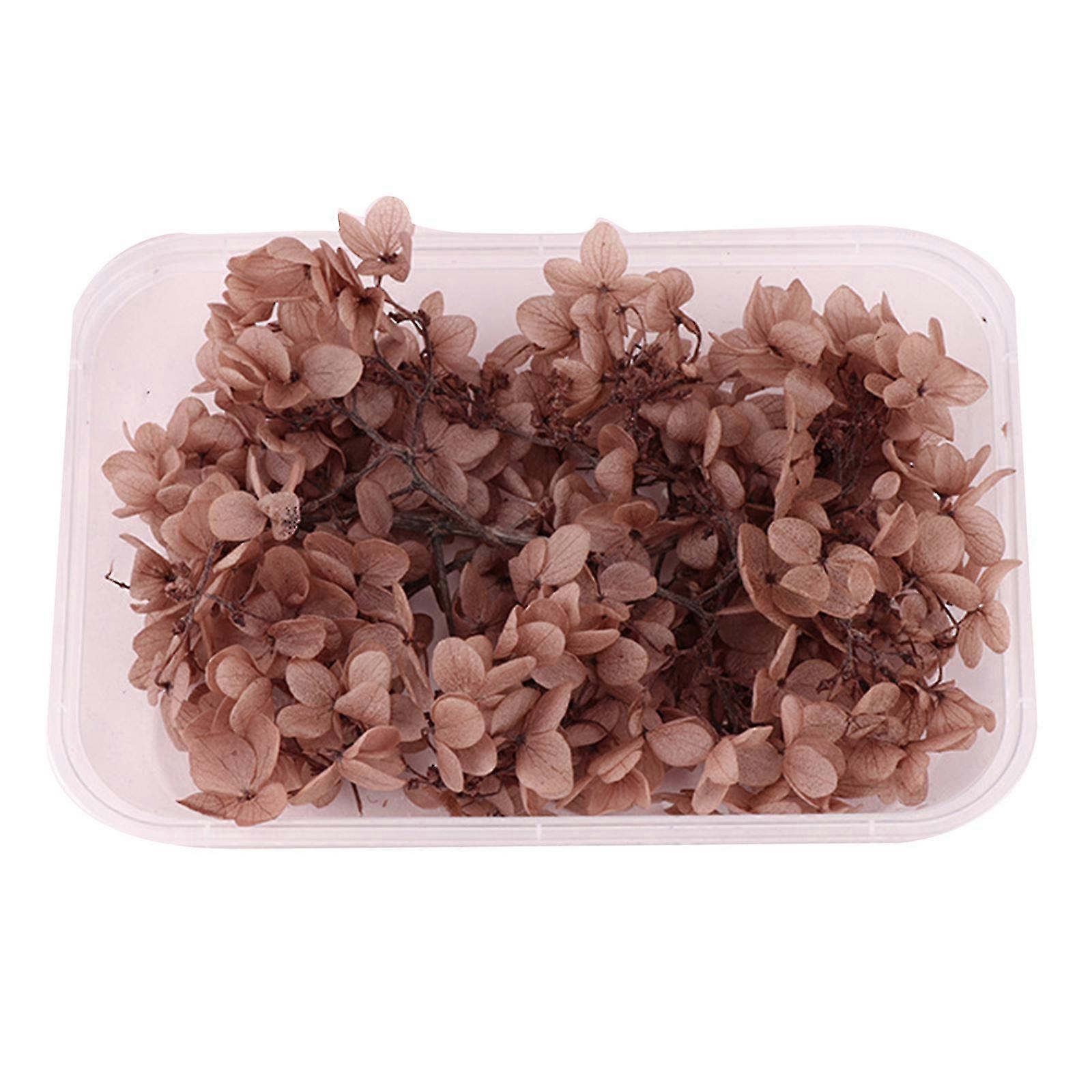 Ægte tørrede blomstertørre planter til aromaterapi Stearinlys Epoxyharpiks vedhæng Halskæde Smykker Gør