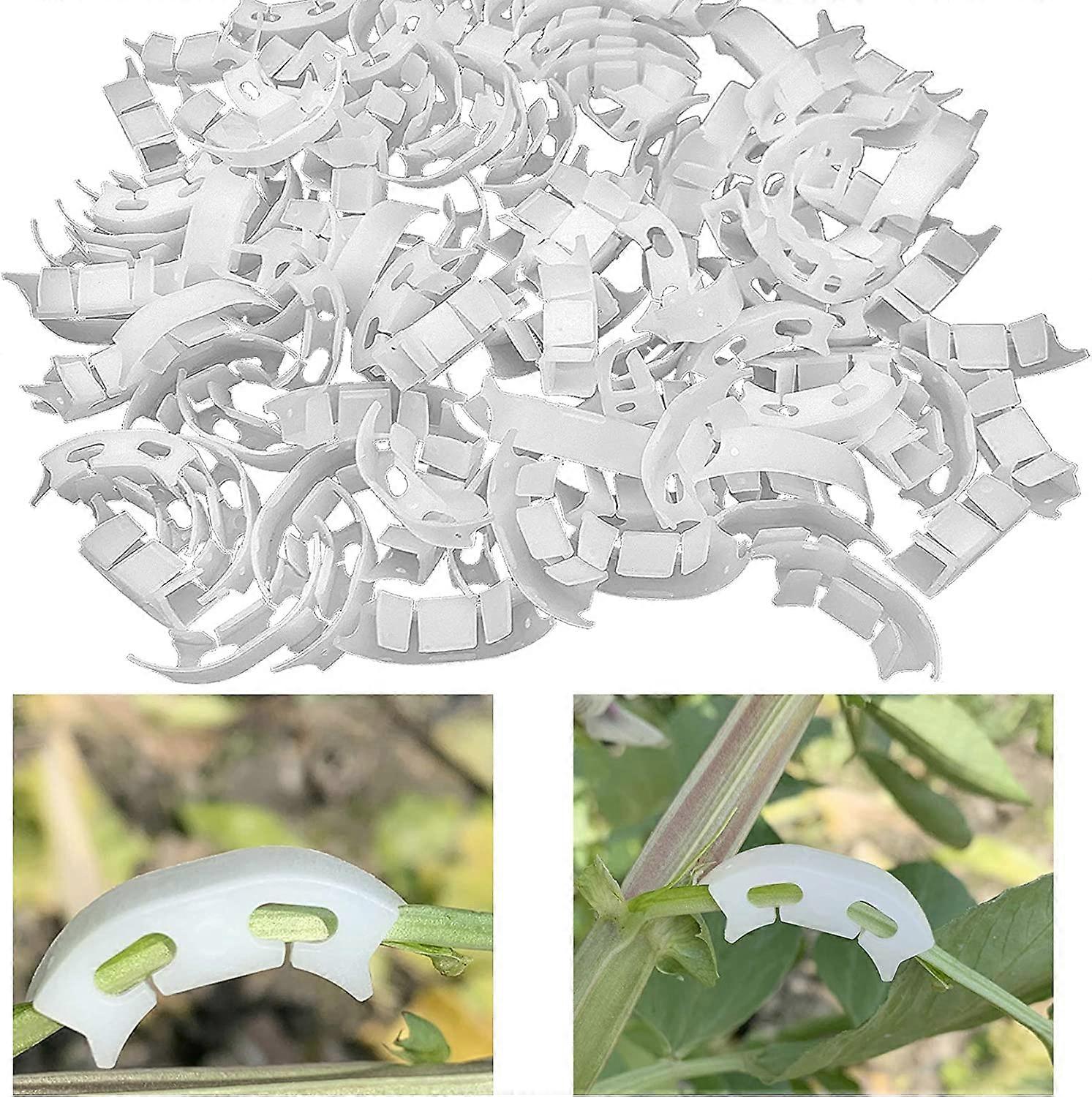 50 Pack White 90 Degree Plant Training Clips