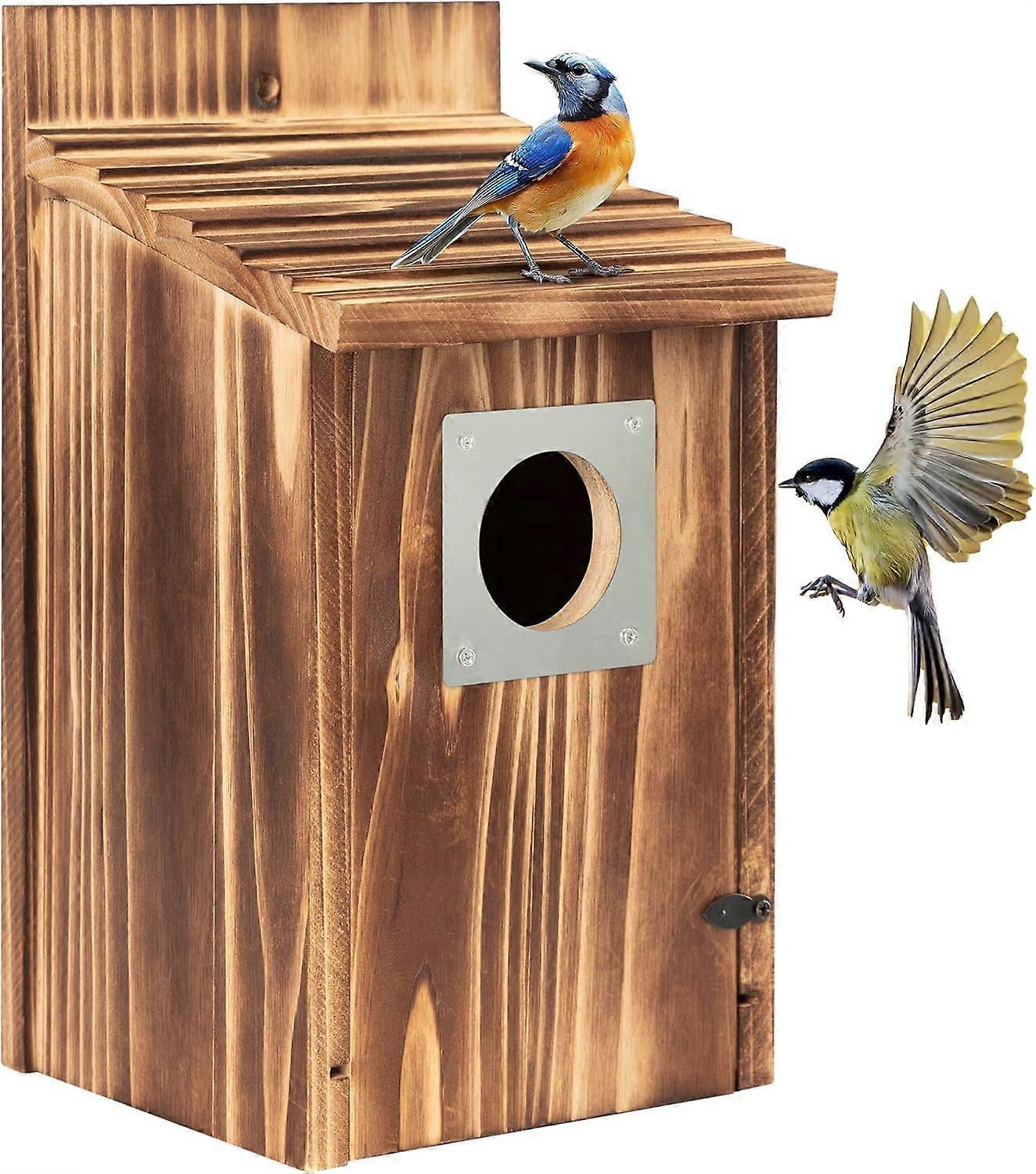 Bird House Nesting Box for Blackbirds and Robins, Burnt Wood Hanging Design with 38 mm Metal Entrance Hole and Nails