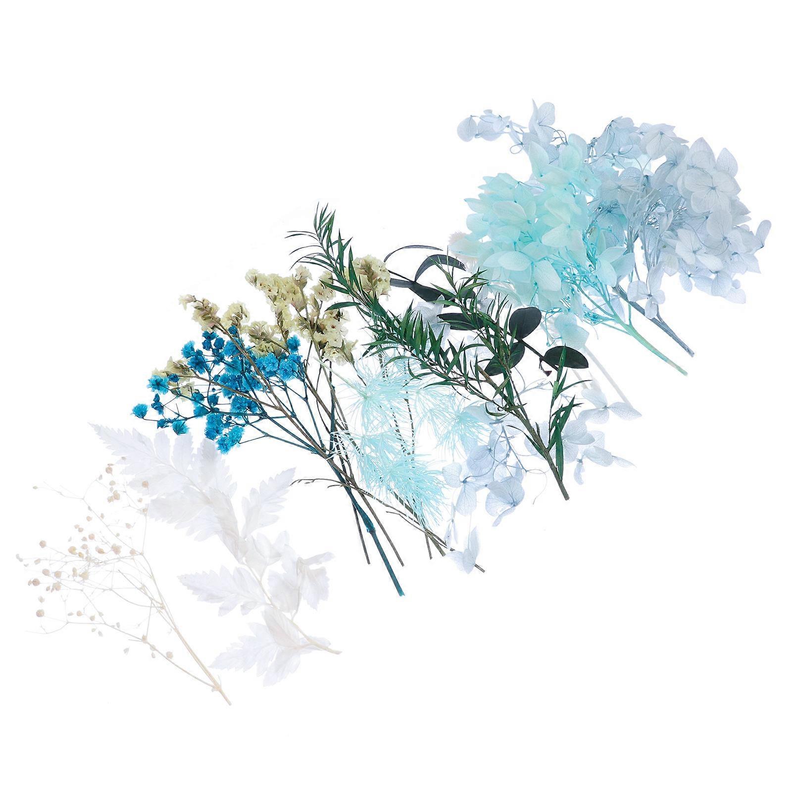 Floral Decorations Dried Flowers Diy Kit present Making Blue 17x11.5cm Diy Craft Material 1Set