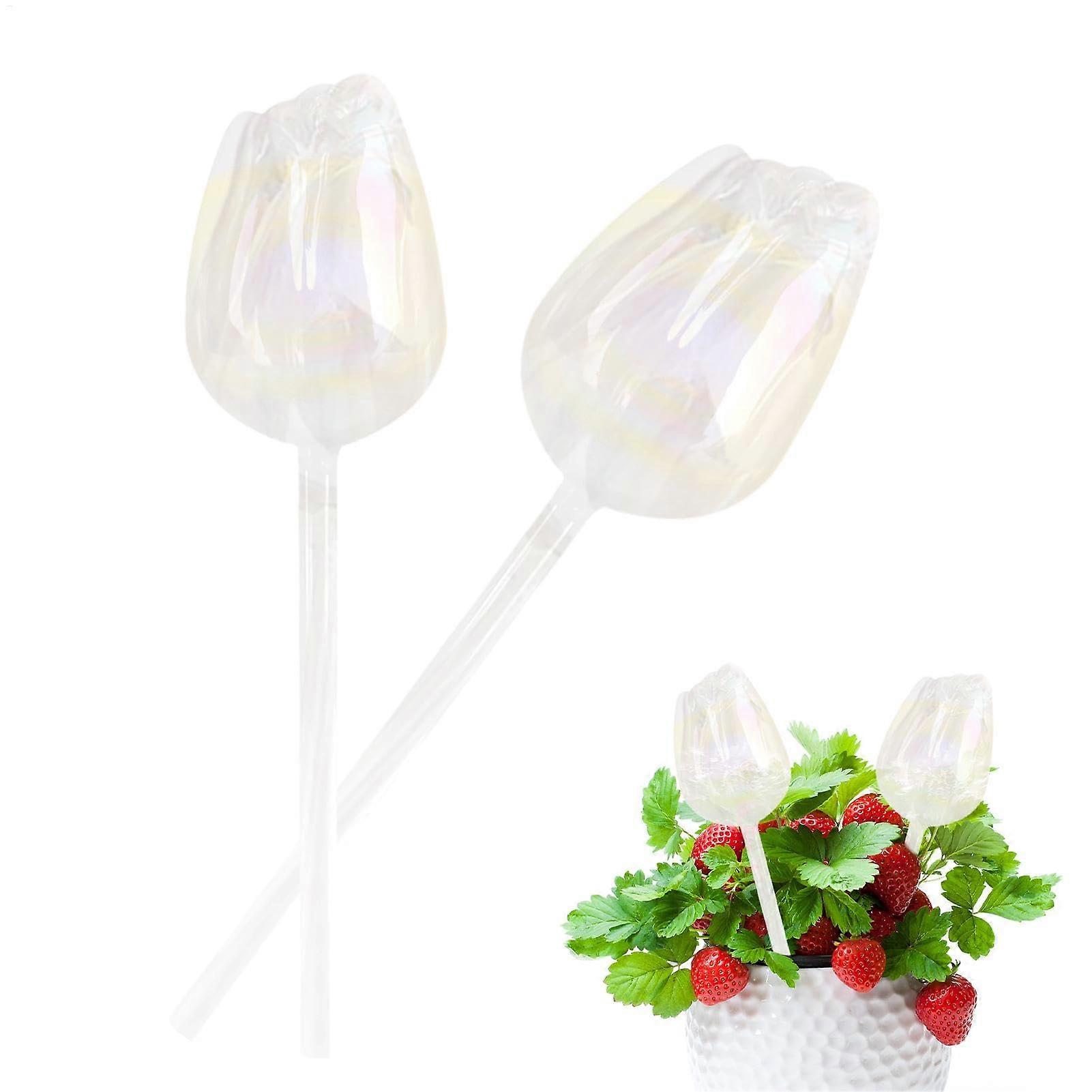 Pack of 2 Small Plants Watering Balls, Glass SelfWatering Balls for Indoor Outdoor Use Ref: 3464