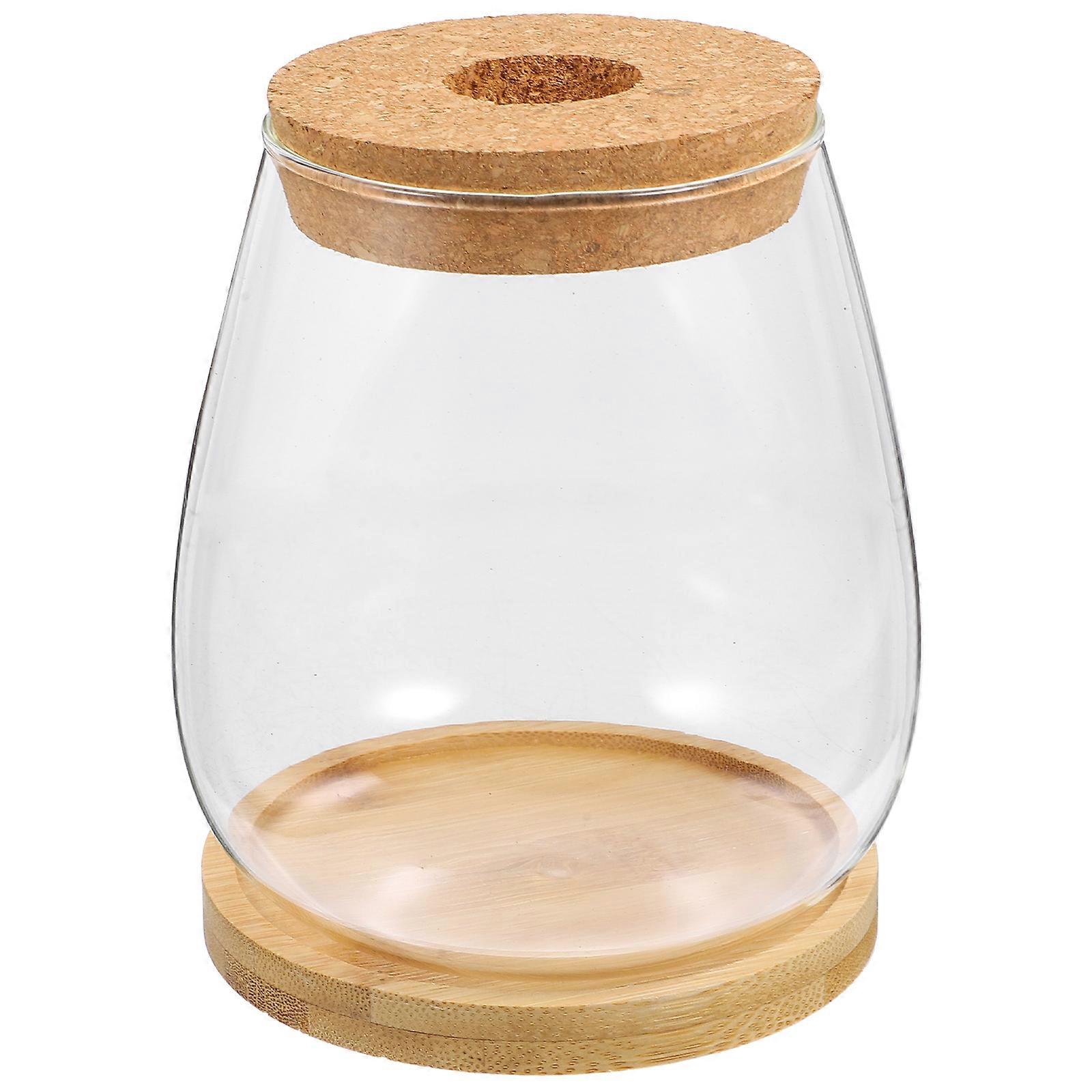 Glass and Wood Flower Vase for Arrangements and Candle Holders Assorted Color Stable and Durable