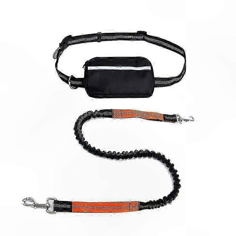 Orange Dog Leash with Zipper Pouch, Dual Padded Handles, and Durable Bungee for Walks, Jogs, and Runs