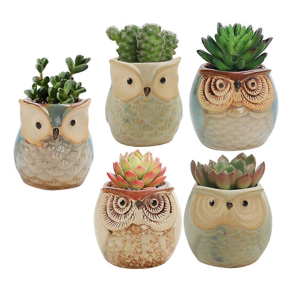 Mini Owl Shape Flower Pot for Storage 5Pcs Ceramic Succulent Plant Holders
