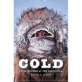 Cold Three Winters at the South Pole