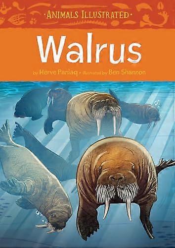 Animals Illustrated Walrus