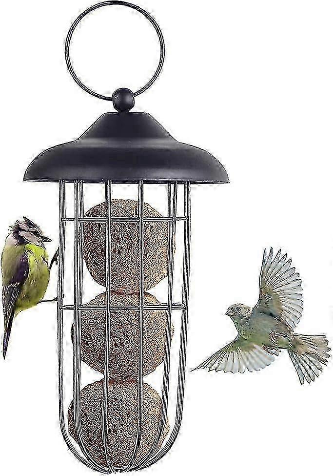 Bird Feeder with Squirrel Protection - Metal Bird Feeder for Fat Ball Holder, Automatic Hanging Feeding Tool for Birds