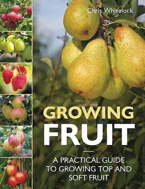 Growing Fruit by Chris Whitelock Paperback
