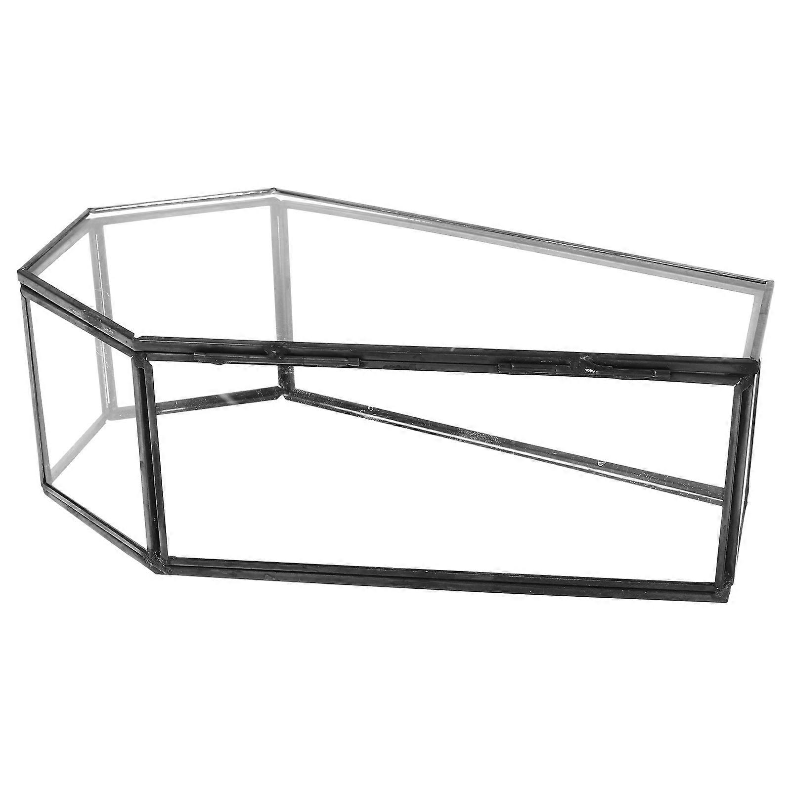 Black Glass Coffin Storage Box for Storage Unique Home Display