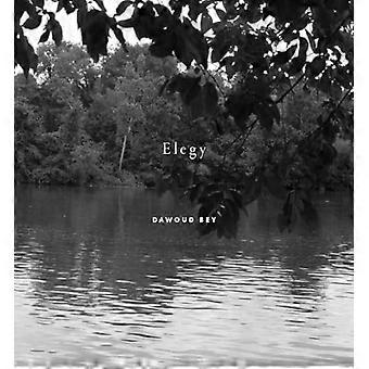 Dawoud Bey: Elegía