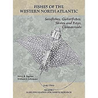 Sagfisk, gitarfisk, skate og rokke, Chimaeroids: Del 2 (Fisk i det vestlige Nord-Atlanteren)