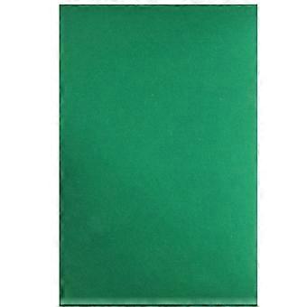 Pet Reptile Mat Lizard Vattenabsorption Matta Degerming Sköldpadda Matta Reptile Supplies - 60x40cm