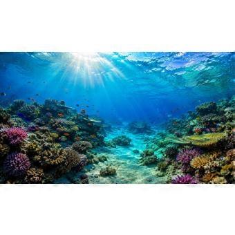 Ocean Underwater Coral Reef with Colorful Tropical Fish Scenery Poster Jigsaw Puzzle RNB231